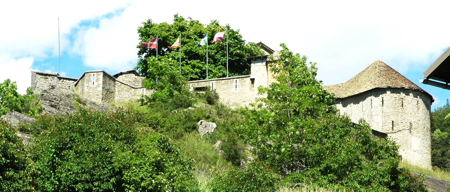 DSC 7403